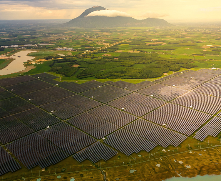 Answer a Few Questions